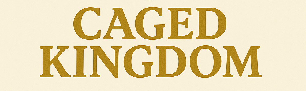User banner image