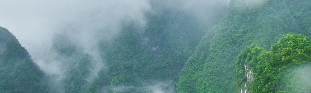 User banner image
